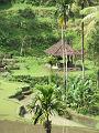 2007 07 17 BALI 0036
